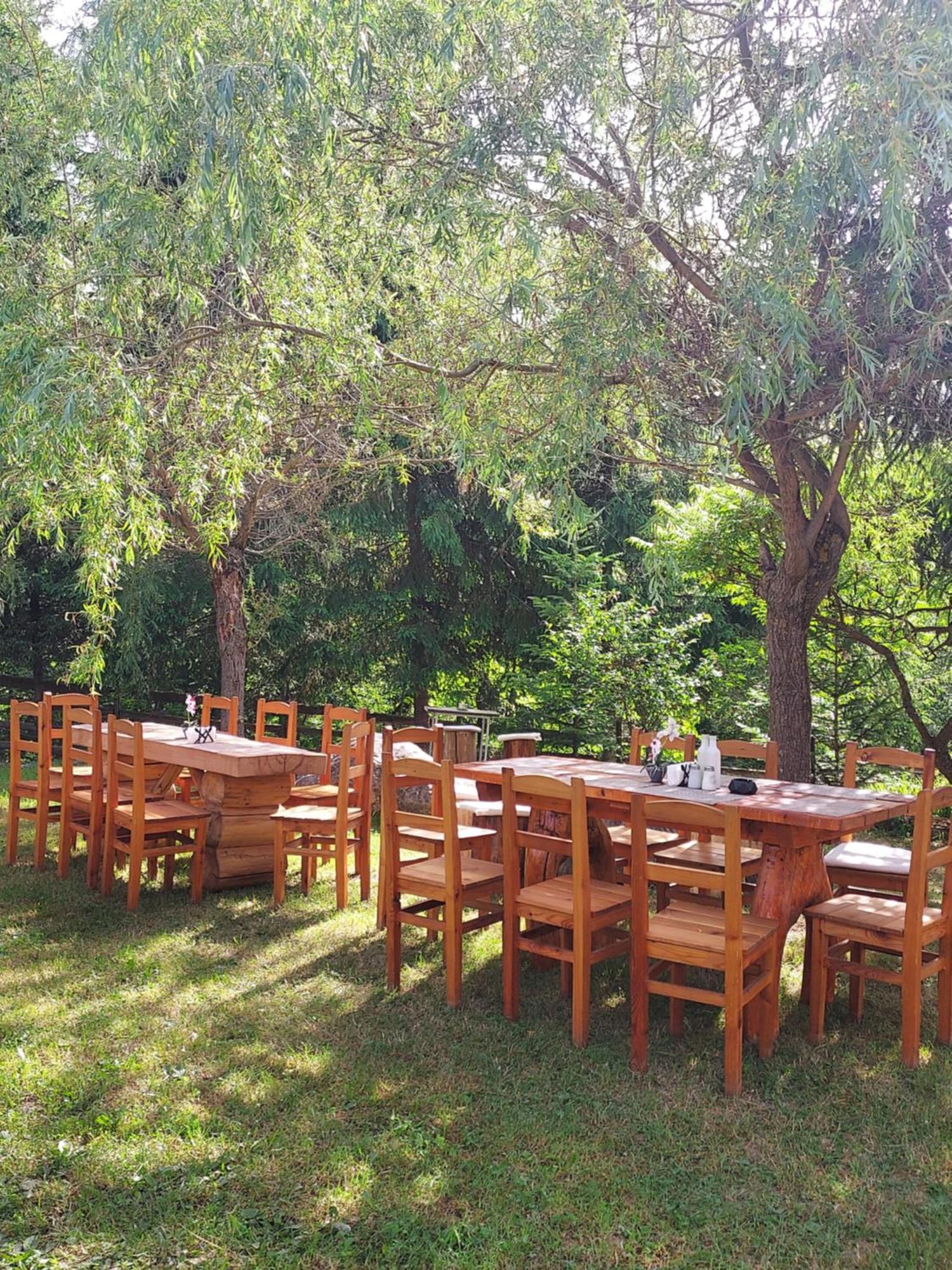 Pensiunea La Taverna Trăisteni Exterior foto